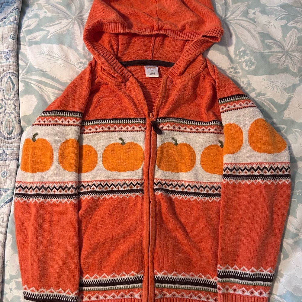 Orange Pumpkin Cotton Hooded Sweater Gymboree Halloween Fall